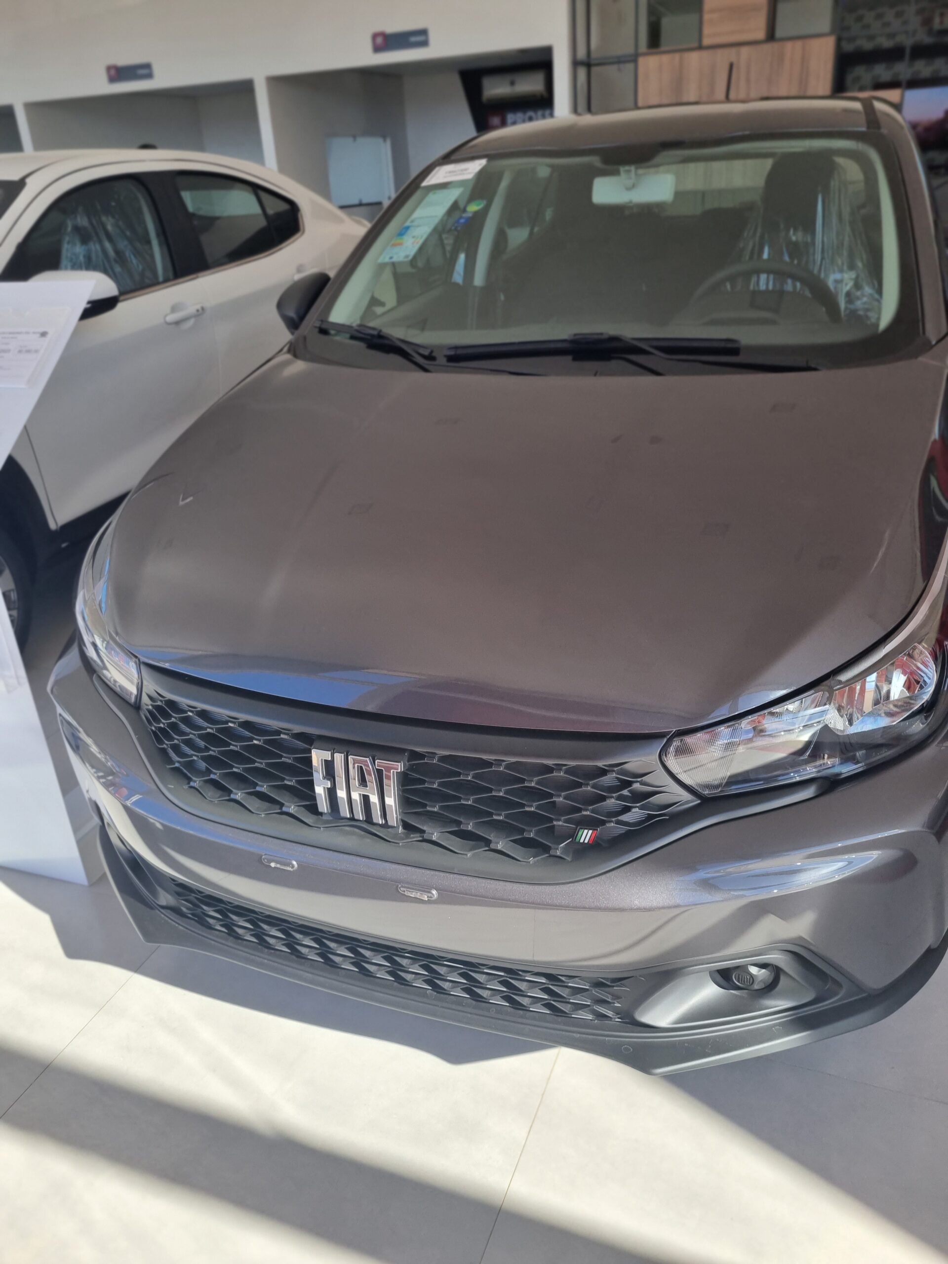 Seguro do Fiat Argo 2024