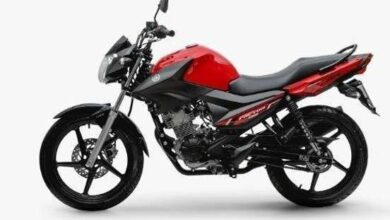 Yamaha Factor YBR 150 2024